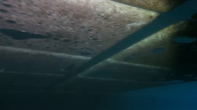 Potujoča trikotničarka v Blejskem jezeru смотреть онлайн