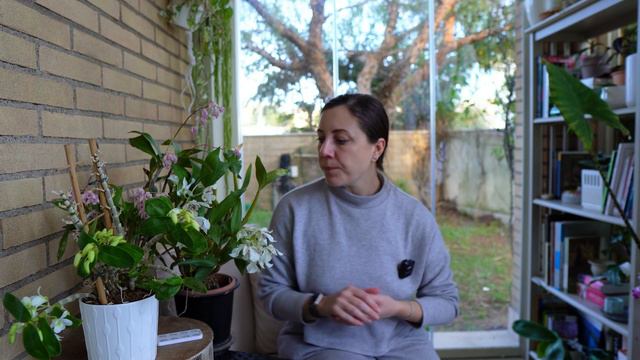 Facciamo rifiorire l’orchidea dendrobium. Rispondo alle vostre domande sul riposo invernale. смотреть онлайн