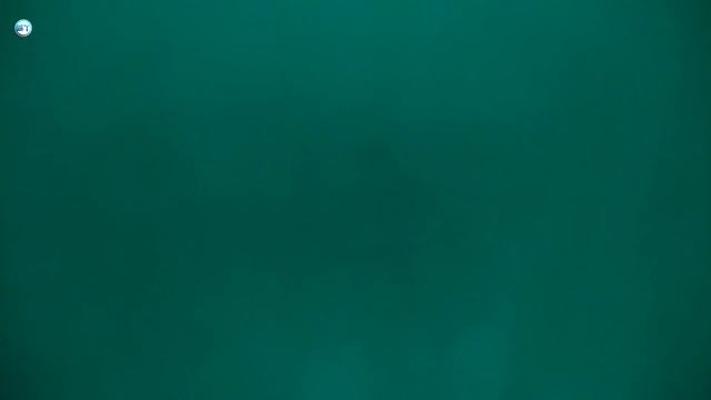 Redmi Mobile Auto Brightness Problem Solution 110% | Display Brightness Problem in MI Redmi Phone смотреть онлайн