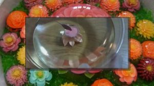 3Д ЦВЕТЫ В ЖЕЛЕ МАСТЕР-КЛАСС ПЛЮС ДВА ВИДЕО.