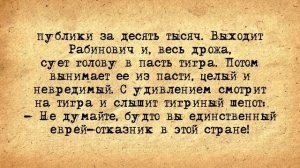 ✡️ 100 Самых Кучерявых Еврейских Анекдотов! Собрание Анекдотов за Евреев! Еврейская Сотка #14