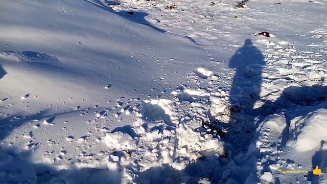 Прогулка на Свалку Зимой в январе месяце. смотреть онлайн