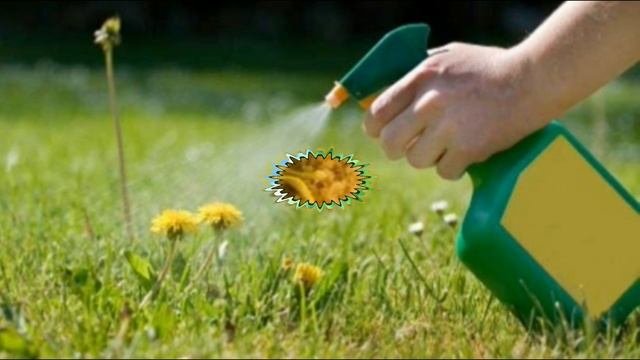 Супер средства для борьбы со слизнями на участке