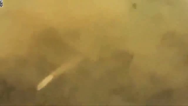 Туркестанский усач на грани исчезновения смотреть онлайн