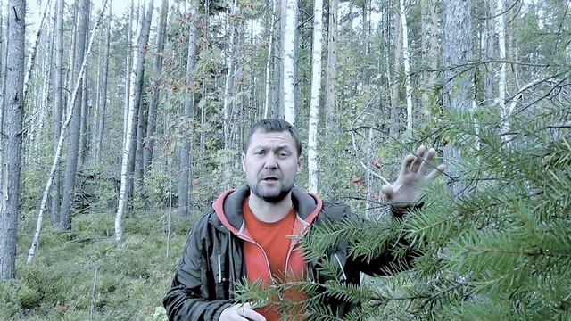 Дельфийские сны- КС- Скифы