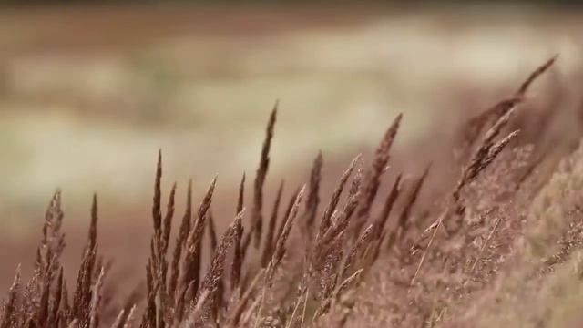 YAŞLI ADAM HIZIR MIYDI? | YAŞANMIŞ KORKU HİKAYELERİ | #33