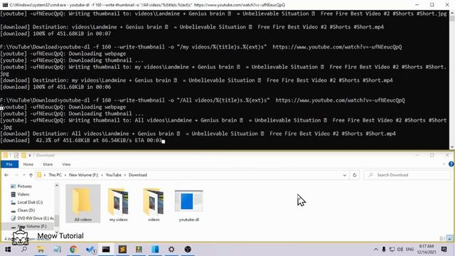 youtube-dl: How to Download YouTube video with the thumbnail смотреть онлайн