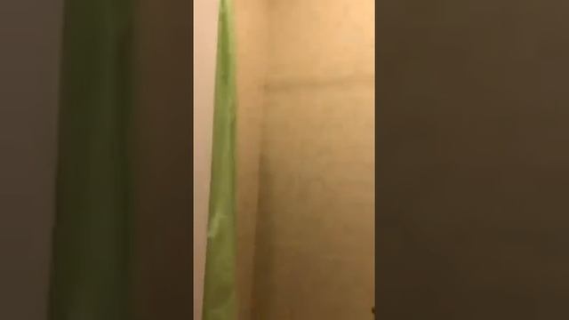 ЖК Новое Пушкино продажа 1 к квартира смотреть онлайн