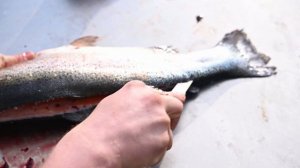 Как разделать форель.Лучший способ.Потрошим и чистим форель