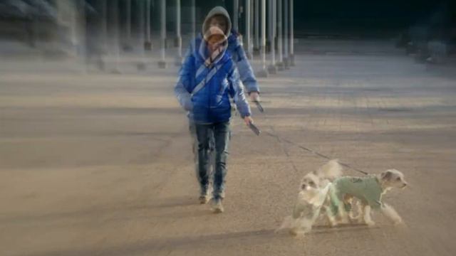 Фотосессия Лины и Мити смотреть онлайн