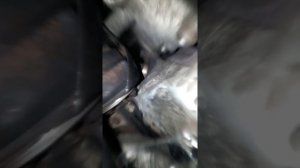 Работа актуатора  passat b5 tdi 1.9