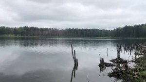 Озеро святое! Абанский район Красноярский край!