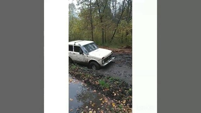 Разница 235-205 кордианты