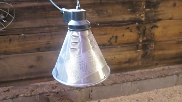 Наша мини-ферма для перепелок смотреть онлайн