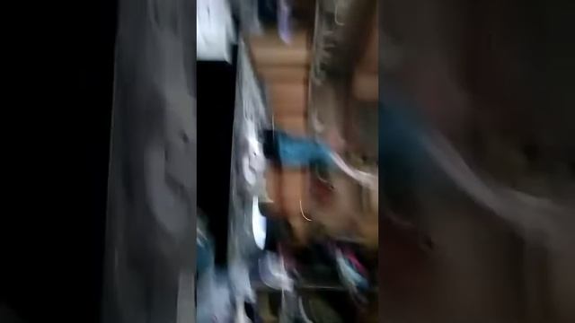 Леший танцует плачь Европа и танцуй Россия смотреть онлайн