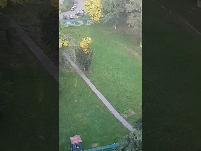 Точечная застройка в Одинцово смотреть онлайн