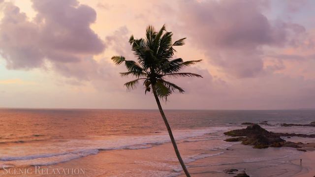 India 4K - Scenic Relaxation Film With Calming Music смотреть онлайн
