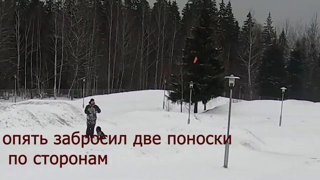 Русский охотничий спаниель занятие по подаче и остановке смотреть онлайн