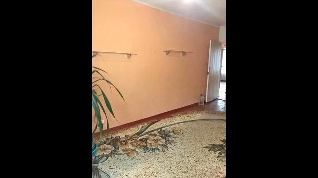 Квартира в удобном районе города, возле школы ... смотреть онлайн