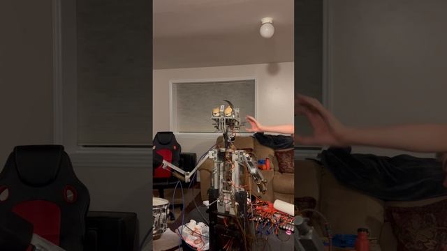 Dook/Pasqually Movement Test 2 смотреть онлайн