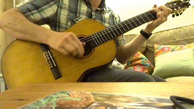ShonKy Flamenco Guitar. Quick Demo смотреть онлайн
