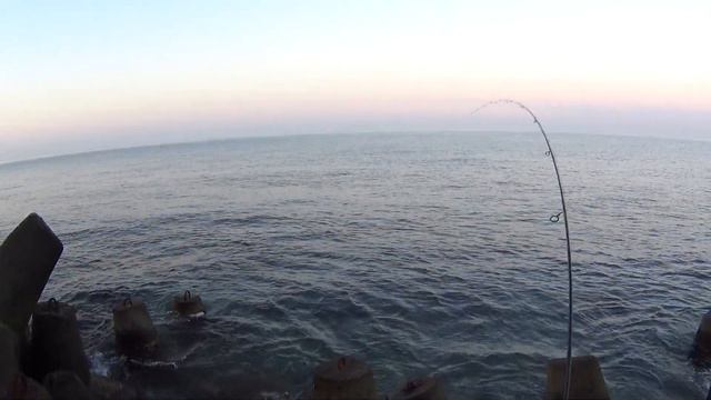 rockfish 2017 Сочи 27 августа рассвет карась Игорь Зинковский смотреть онлайн