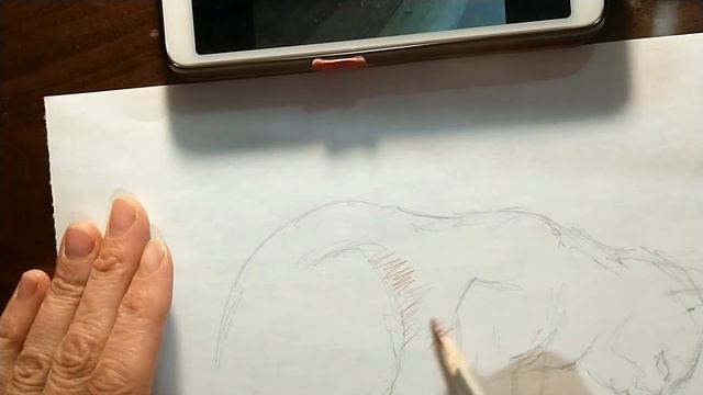 "Начерки кота Лео" 3 клас Рисунок смотреть онлайн