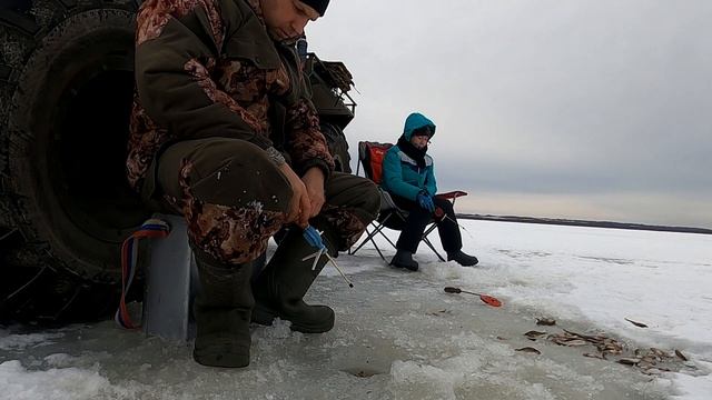 Ёрш атакует !!! смотреть онлайн