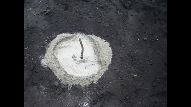 Пересадка инжира смотреть онлайн