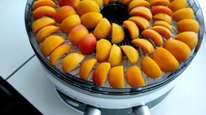 Сушилка для овощей и фруктов Великие реки Волга-9