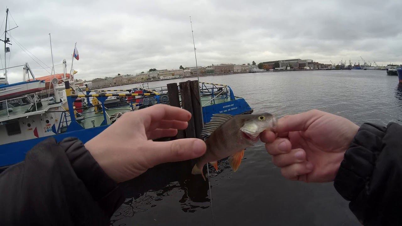 #80 Мормышинг | MUKAI Air Stick AS-1652-S 