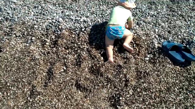 Sofi 11 сентября 2020 года температура воды 25 градусов - заплыв нормальный смотреть онлайн