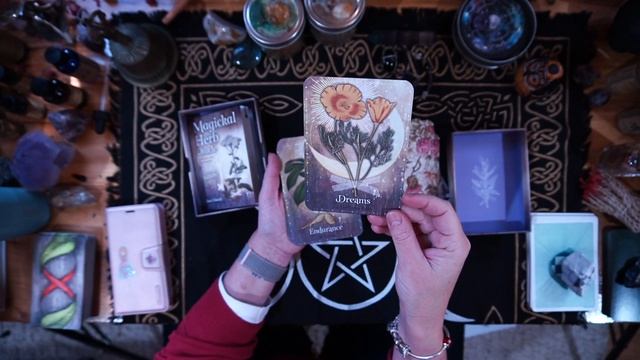 The Magickal Herb Oracle Unboxing & Full Flip Through смотреть онлайн