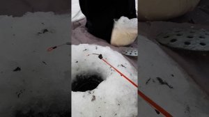 Рыбалка на Ельца р.Иркут