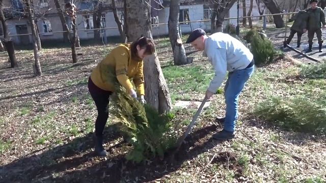 Субботник - высадка деревьев туи восточной на Аллее Героев Гвардейское Крым. смотреть онлайн