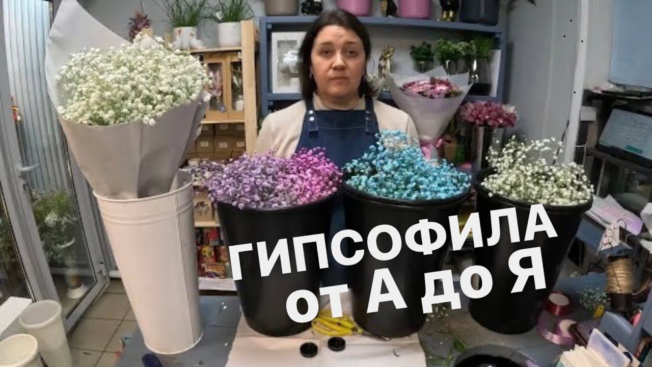 Как я работаю с Гипсофилой | Раскрываю все секреты! смотреть онлайн