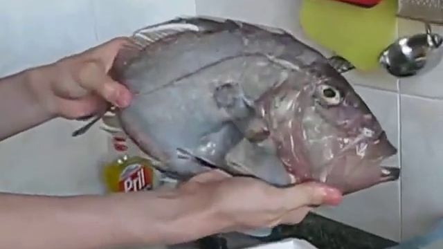 Рыбалка в Ля Маре смотреть онлайн