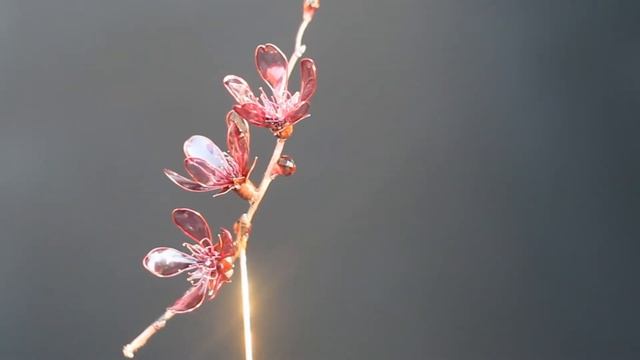Ювелирные ветви в цвету - Маргарита Зимина. Jewelry branches in bloom - Margarita Zimina. смотреть онлайн
