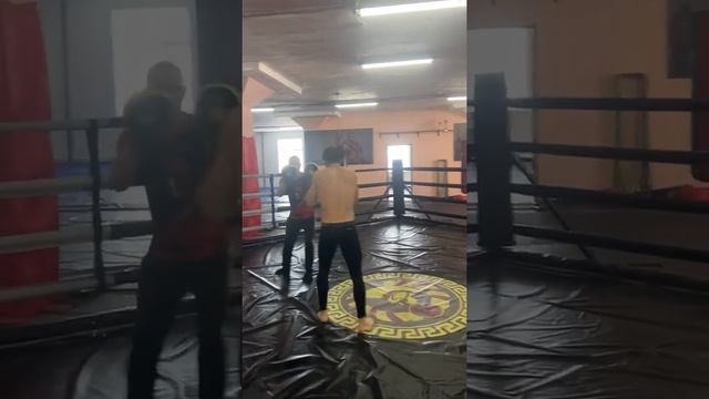 Работа на боксерских лапах наших профессиональных бойцов ММА. Спарта. Тренировки в спарте смотреть онлайн