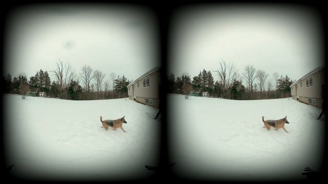 Joy jumping for snow as we shovel (50 percent slow-mo) смотреть онлайн