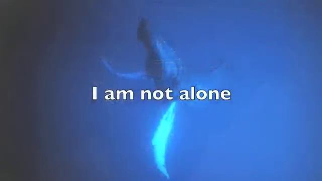 A Daily Meditation | Move Into Empowerment And Balance смотреть онлайн