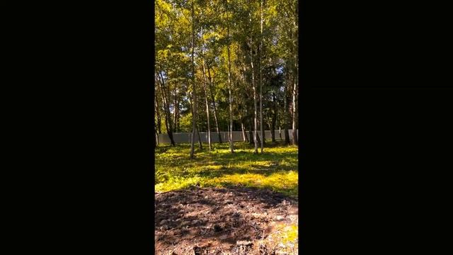 Продажа земли смотреть онлайн