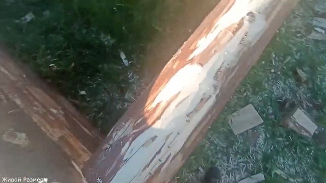 Как прирубить бревно/рубка сруба в лапа-чаша смотреть онлайн