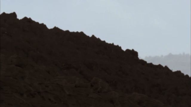 少數動物已經學會適應地球的情緒 смотреть онлайн
