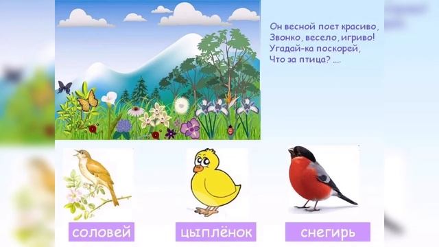 Видеоурок по теме: перелетные птицы смотреть онлайн