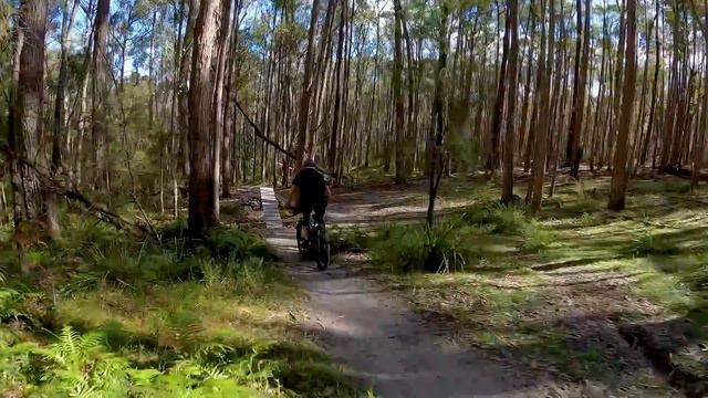 I Built The Ultimate Backyard MTB Trail! смотреть онлайн