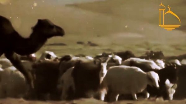 Сира пророка. Часть 2