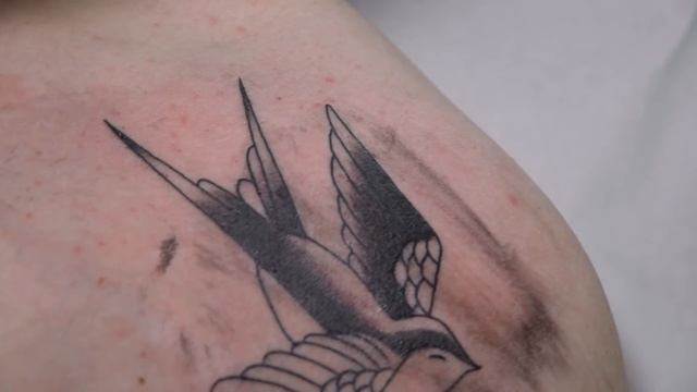 Traditional swallow tattoo - Time lapse смотреть онлайн