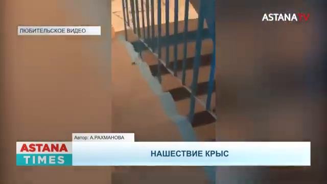 Крупный природный пожар. Помощь инвалидам. Жалобы на открытые колодца. смотреть онлайн