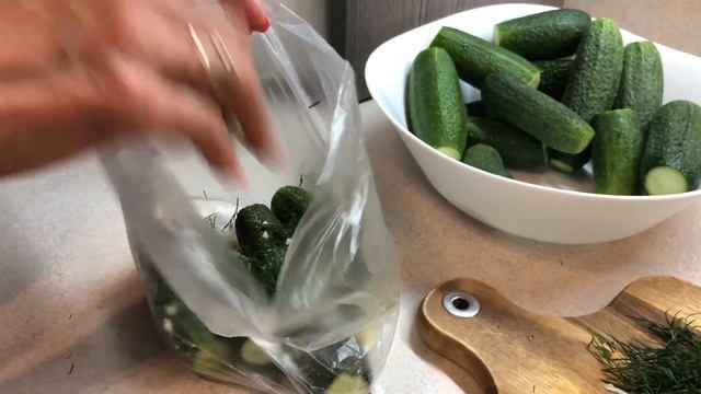 Наука о Животных и их Поведение